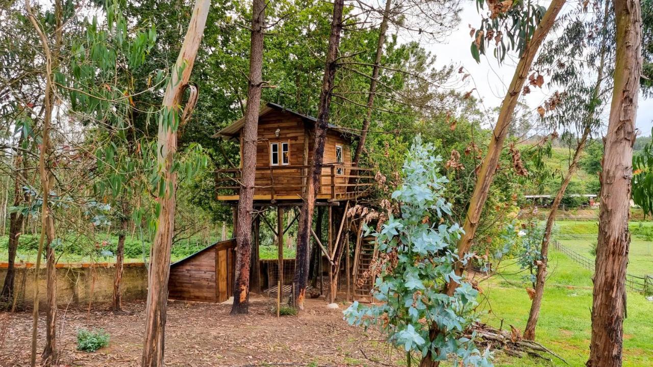 Vale Da Silva Villas - Quinta Алберґарія-а-Велья Екстер'єр фото