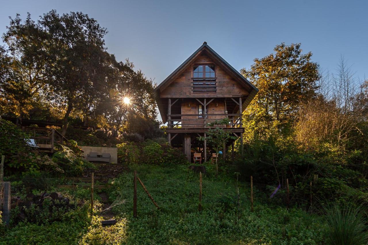 Vale Da Silva Villas - Quinta Алберґарія-а-Велья Екстер'єр фото